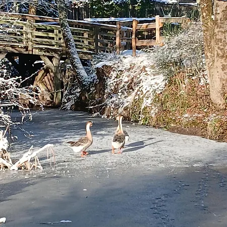 Domaine De La Ferte Clairbois 3*
