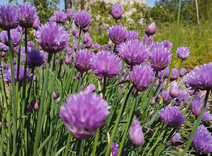 招待所 Domaine De La Ferte Clairbois