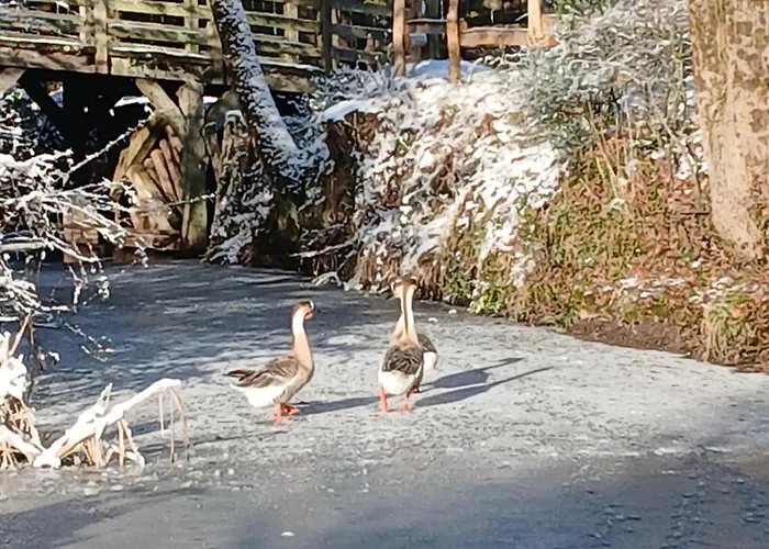 Domaine De La Ferte Clairbois 3*