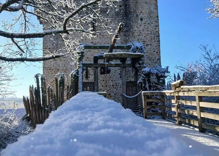 Domaine De La Ferte Clairbois Penzion