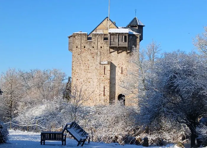 Domaine De La Ferte Clairbois 招待所